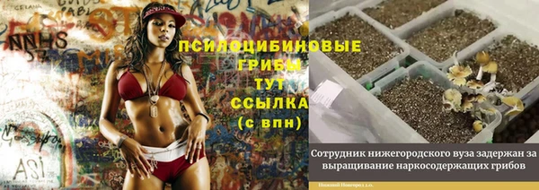 прущие крисы Абинск