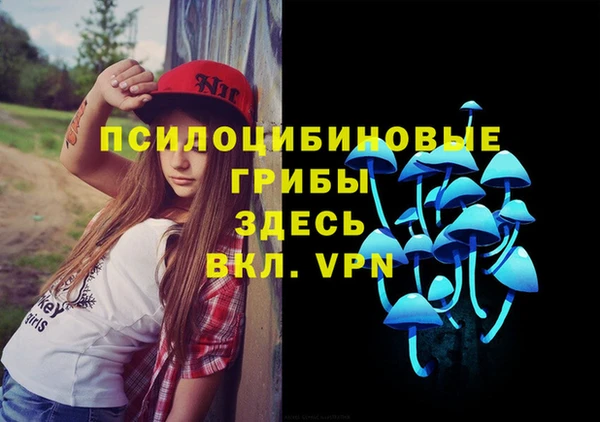 COCAINE Лабытнанги