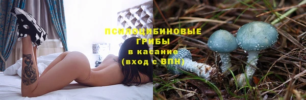прущие крисы Абинск