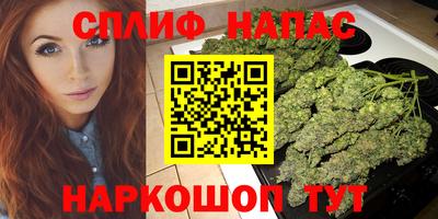 крисы Ставрополь
