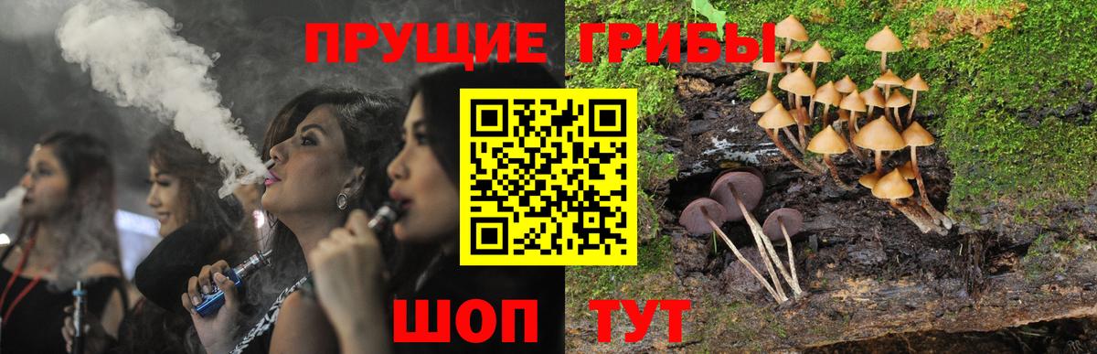 Галлюциногенные грибы прущие грибы  Галлюциногенные грибы мицелий  Вход с VPN  Серпухов 